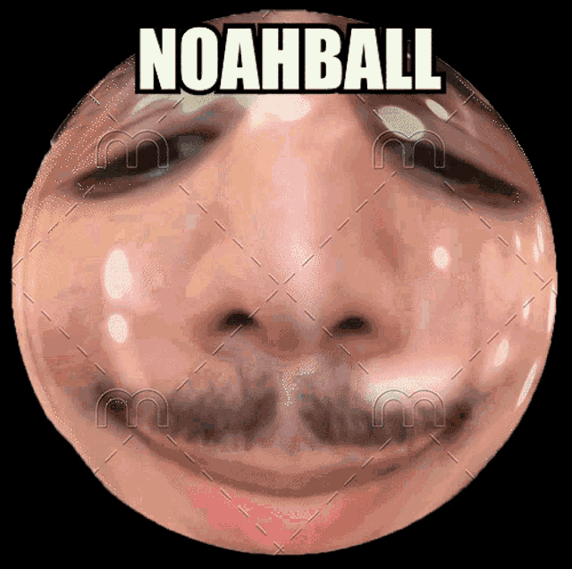 Noah Noahball GIF - Noah Noahball Noah Nachmani GIFs