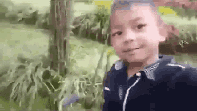 a young boy is taking a selfie in the woods while standing next to a tree .