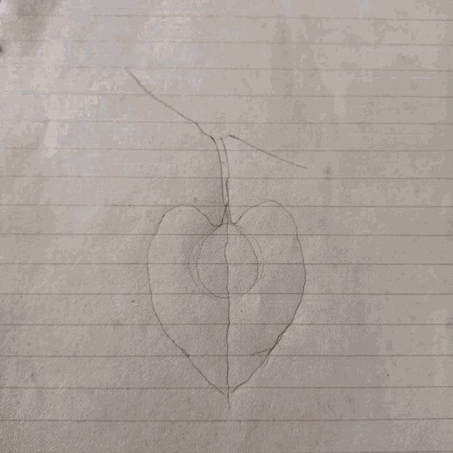 a black and white drawing of a leaf with a stem