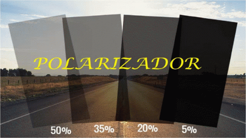 Polarizador Vidrio Polarizado GIF - Polarizador Polarizado Vidrio Polarizado GIFs