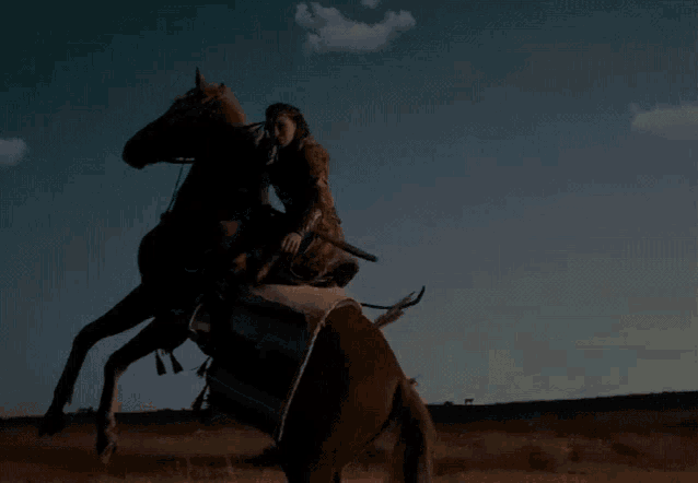 a man riding a horse in a field with a blue sky behind him