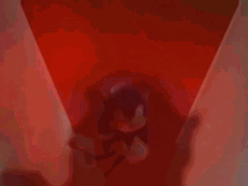 a cartoon character , sonic the hedgehog , is standing in a doorway .