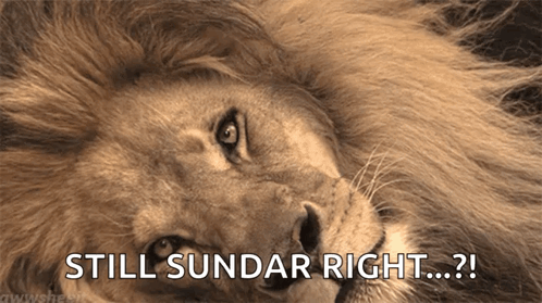 Lion Gives Up GIF - Lion Gives Up Tired GIFs