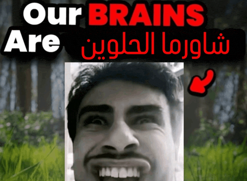 a picture of a man with the words our brains are below it
