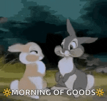 two rabbits are sitting next to each other in a field with the words `` morning of goods '' written above them .