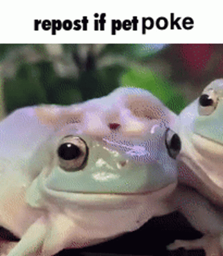 Repost Pet GIF - Repost Pet Frog GIFs
