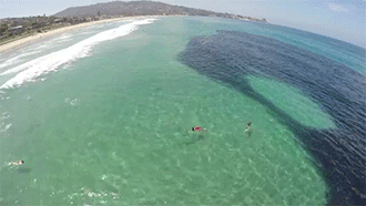 Oil Slick...Or Not? GIF - GIFs