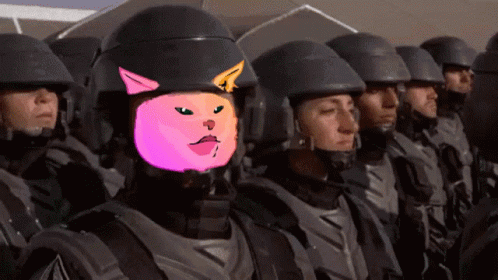 Pussy Im Doing My Part GIF - Pussy Im Doing My Part Im Doing My Part Meme GIFs
