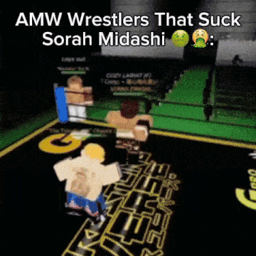 amw wrestlers that suck sorah midashi are fighting in a ring