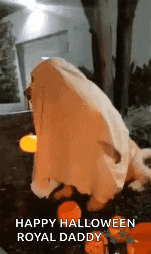 a dog is dressed up as a ghost and says happy halloween royal daddy on the bottom