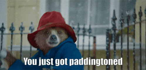 paddington bear wearing a red hat and a blue jacket says you just got paddingtoned