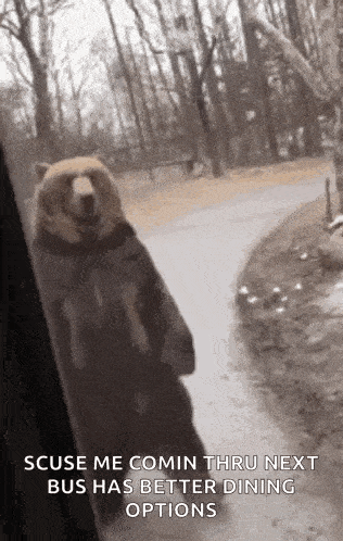 Kaden Bear GIF - Kaden Bear Walk GIFs