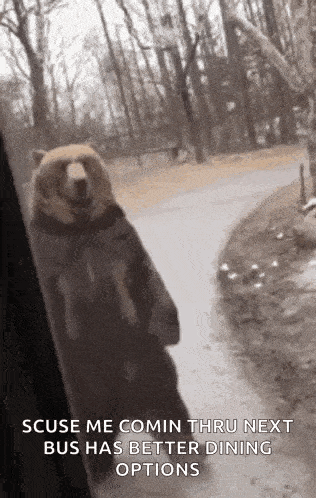 a bear is standing on its hind legs in front of a window with a caption .