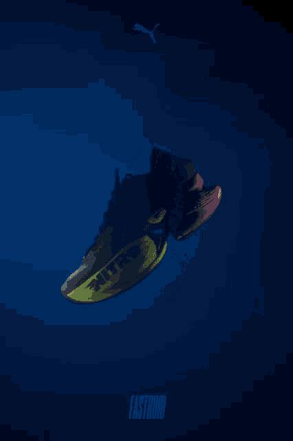 a picture of a pair of nitro fastroid shoes