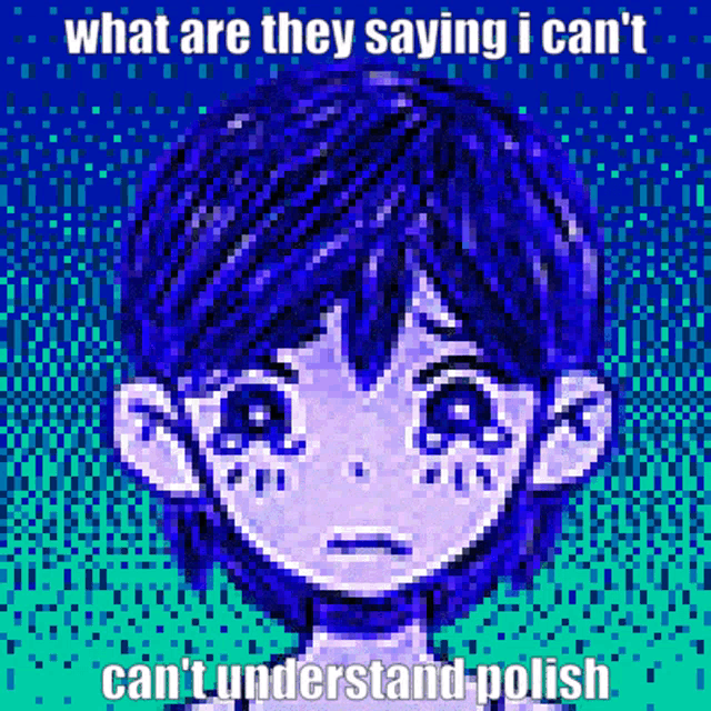 a pixel art of a boy with the words what are they saying i can 't can 't understand polish on the bottom