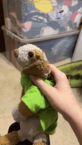 a person is holding a stuffed animal with a green shirt on it