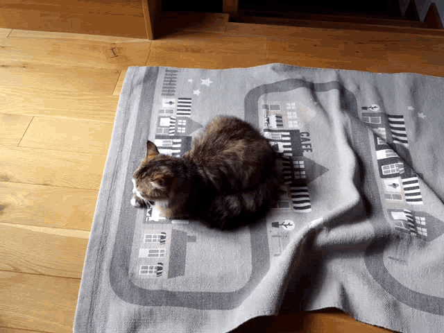 a cat laying on a rug that says cafe on it