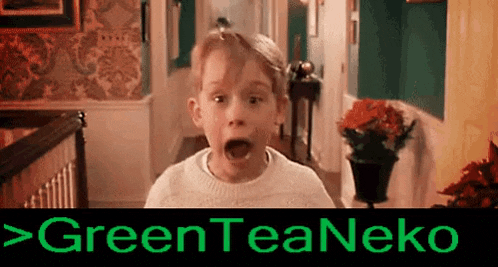 a young boy is standing in a hallway with his mouth open and a green background with the words `` green tea neko '' .