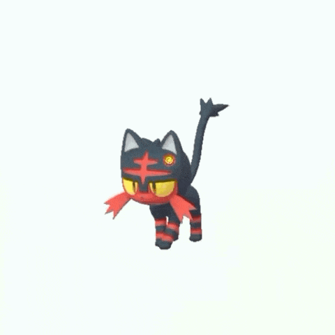 a black and red cat with a yellow eye is walking