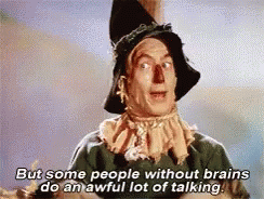 Scarecrow Stupid GIF - Scarecrow Stupid People Without Brains GIFs
