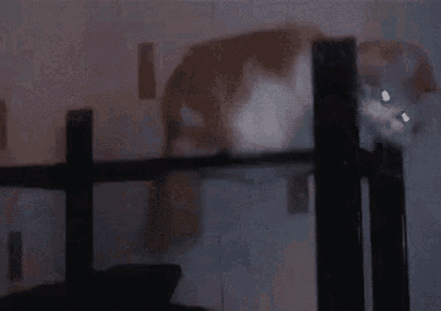 M Theydy Kitty GIF - M Theydy Kitty Nonbinary GIFs