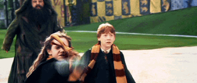 harry potter and his friends are walking on a field .