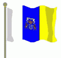 a blue white and yellow flag with a frog on it