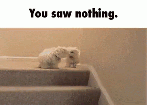 Puppies Dogs GIF - Puppies Dogs Doggo GIFs