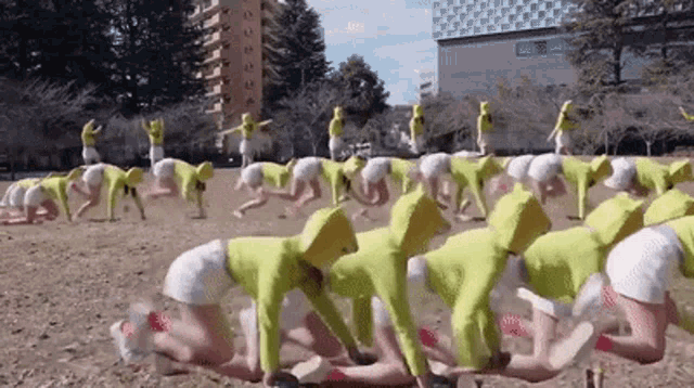 a group of people are doing exercises in a field