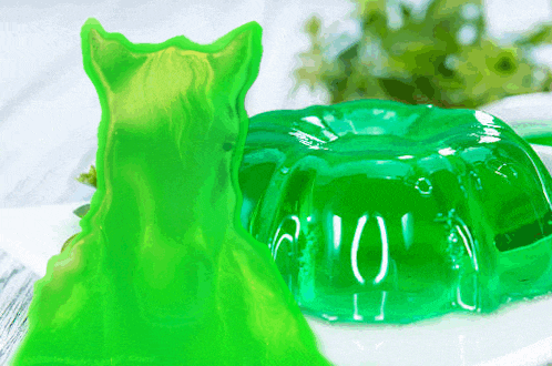 a green jelly shaped like a cat is sitting on a white plate