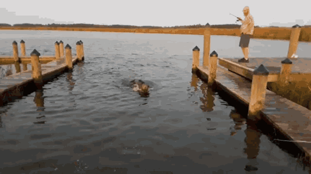 a man is fishing in the water while a dog is swimming in the water