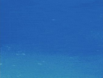 a cartoon drawing of a dolphin in the water