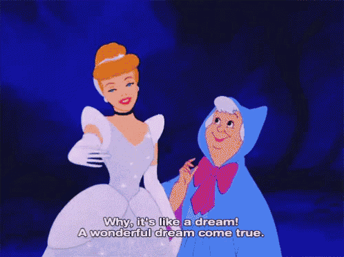 a cartoon of cinderella and a fairy saying " why it 's like a dream "