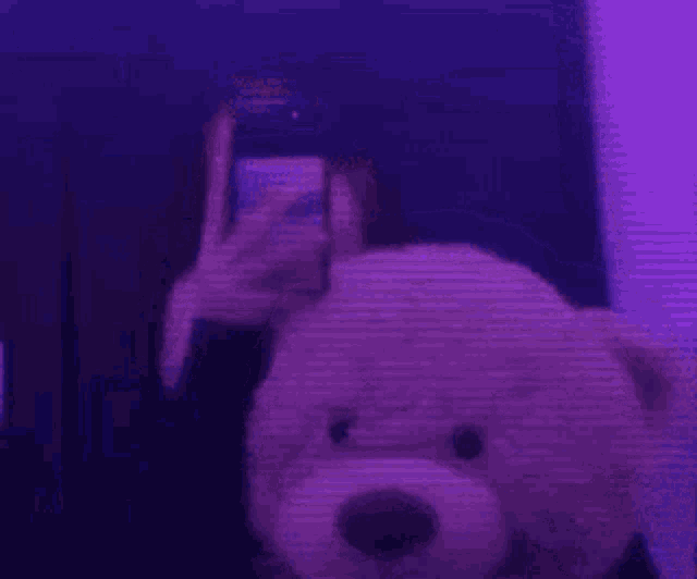 a person is taking a picture of themselves with a teddy bear in front of a mirror .