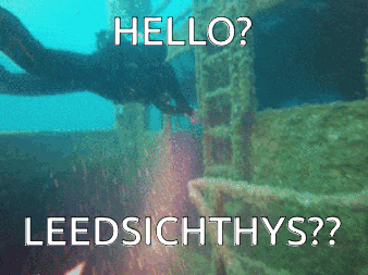 a picture of a scuba diver with the words hello leedsichthys below him