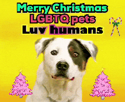 a merry christmas lgbtq pets luv humans poster with a dog