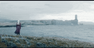 a woman in a purple coat stands on a rocky shoreline overlooking the ocean