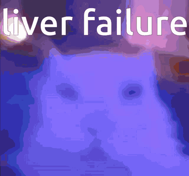 Liver Failure Meme GIF - Liver Failure Meme Cat Chilling GIFs