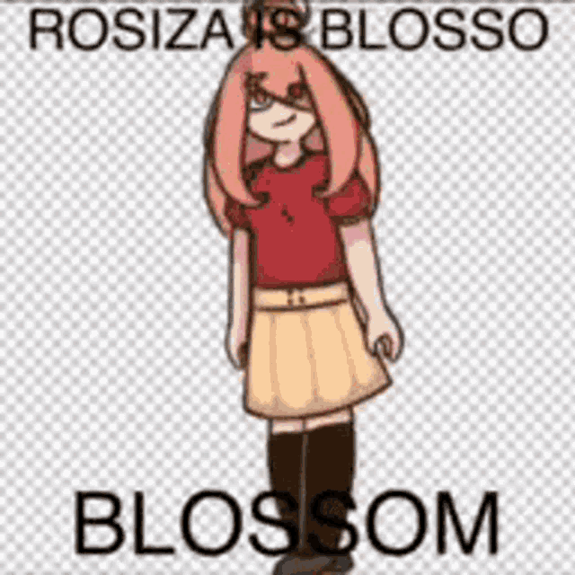 a drawing of a girl with long pink hair and the name rosiza is blossom .