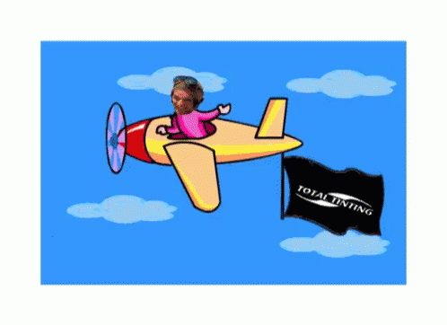 Jamie Total Tinting GIF - Jamie Total Tinting Airplane GIFs