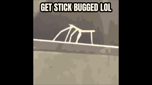 a stick bug is crawling on a wall with the caption " get stick bugged lol "
