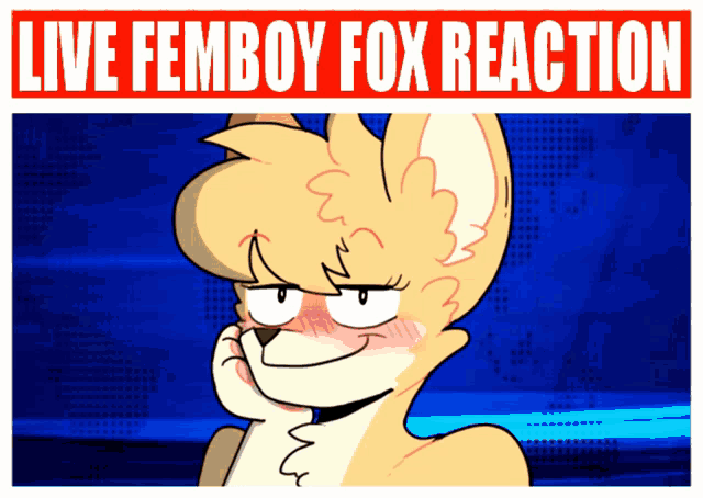 a poster with a fox and the words " live femboy fox reaction "