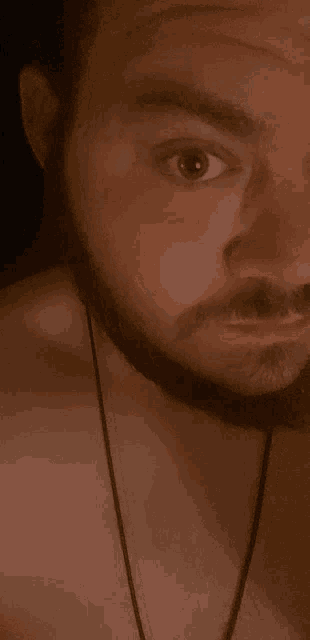 a shirtless man with a beard and mustache wearing a black necklace
