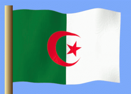 Cezayir GIF - Cezayir GIFs