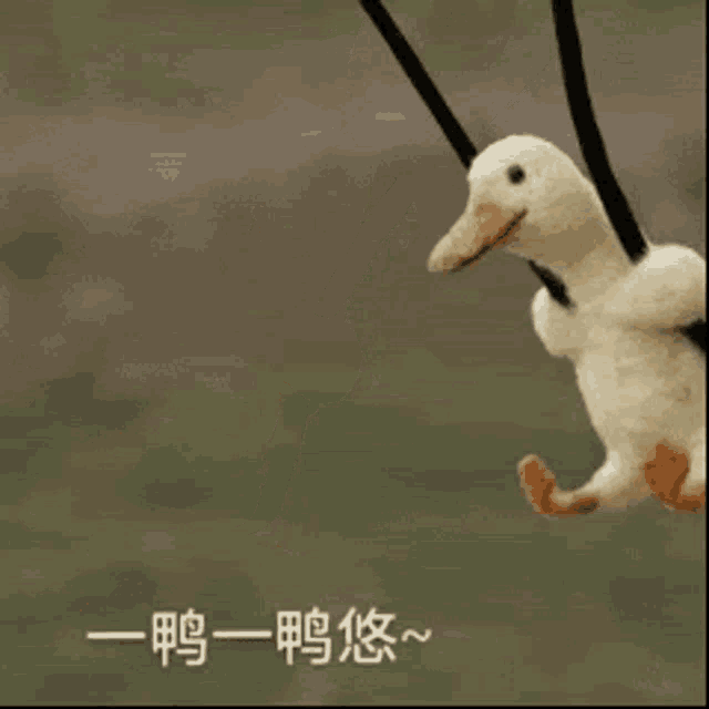 a duck is swinging on a rope with chinese writing on the bottom .