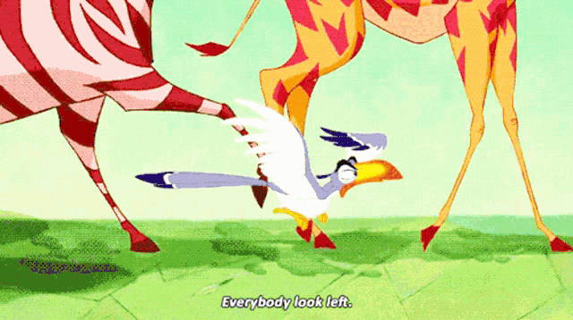a cartoon of a bird saying " everybody look left " next to a zebra