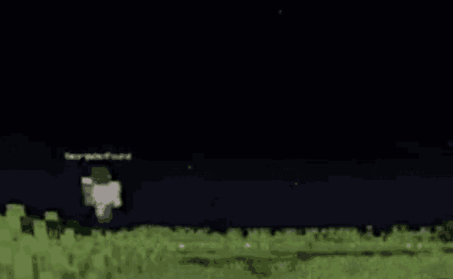 a sheep is standing in a field of grass in a minecraft video game at night .