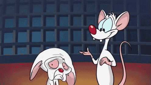 pinky and the brain are talking to each other