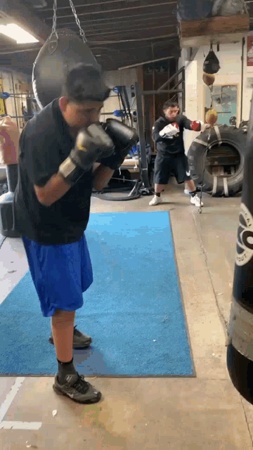 Pedo Pedro Boxing GIF - Pedo Pedro Boxing Cachetes GIFs