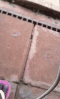a close up of a drain on a brick floor